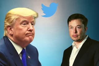 Musk on Trump Twitter