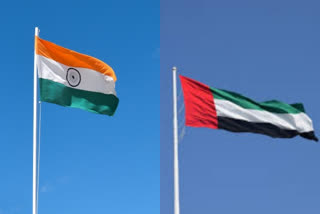 UAE Economy Minister led delegation to visit New Delhi today