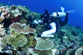 More than 90% of Great Barrier Reef coral surveyed this year was bleached in the fourth such mass event in seven years in the world's largest coral reef ecosystem