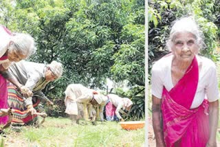 The Old Woman Has been Farming Even At the Age of 98 Yrs