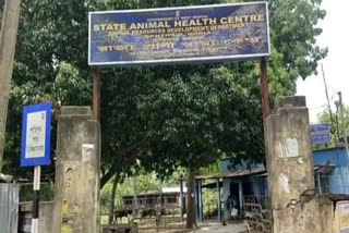 Santipur Animal Hospital News