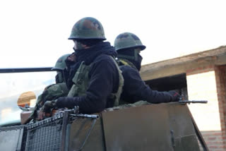 Gunfight breaks out in north Kashmir's Bandipora