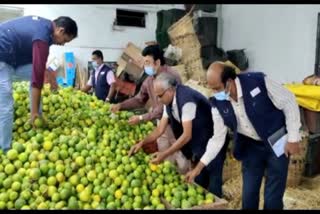 இரசாயனம் மூலம் பழுக்க வைத்த 14 டன் பழங்கள் அழிப்பு