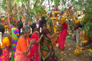 வேலூர் பொற்கொடி அம்மன் கோவில் திருவிழா- மிளகாய் தூவி வழிபாடு