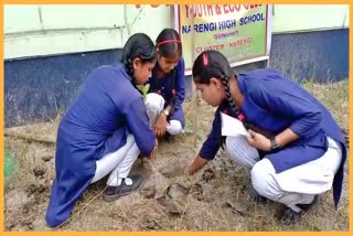 Tree plantation programme at Narengi High School in Guwahati