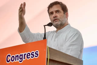 Congress leaders to pitch for Rahul Gandhi as party president at Udaipur Chintan Shivir  Chintan Shivir  Rajasthan  Udaipur  Adhir Ranjan Chowdhury  Wayanad MP Rahul Gandhi  Congress Working Committee  ഉദയ്‌പൂര്‍ ചിന്തൻ ശിവിര്‍ മെയ് 13 ന്  പാർട്ടി അധ്യക്ഷനായി രാഹുൽ ഗാന്ധിയെ രംഗത്തിറക്കിയേക്കാം