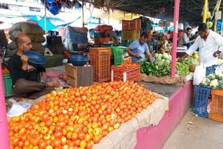 Tomato rates increase suddenly in Chhattisgarh