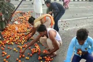 people-looted-tomatoes-pickup-van-overturned-in-dhanbad