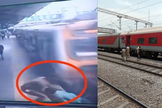 Thane police rescued man who crossed railway track  താനെ ട്രെയിൻ അപകടം  പാളം മുറിച്ചു കടന്ന് പ്ലാറ്റ്‌ഫോമിലേക്ക് കയറാൻ ശ്രമം  താനെ റെയില്‍വേ സ്റ്റേഷൻ അപകടം  താനെ പൊലീസ് അതിവേഗ രക്ഷാപ്രവർത്തനം  Thane railway station accident  Attempt to cross the rails and climb onto the platform