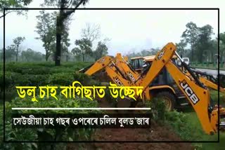 Eviction drive at Doloo tea estate