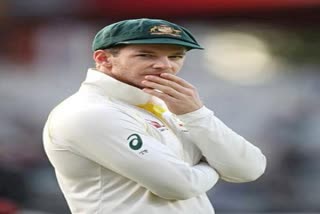 Tim Paine's career  Who is Tim Paine  Sports News  Cricket News  Former Australian cricket captain  cricket Australia  टिम पेन  पूर्व ऑस्ट्रेलियाई टेस्ट कप्तान  तस्मानियाई क्रिकेट  घरेलू क्रिकेट