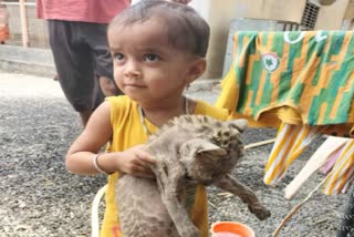 Kid bring leopard calf home nasik