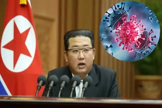 North Korea covid cases