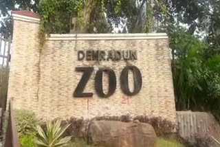 Dehradun Zoo