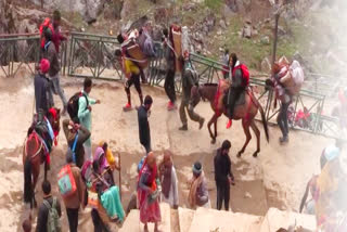 horse and mule dung on Kedarnath