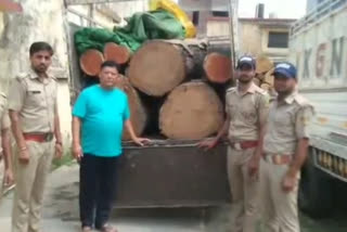 Forest Department team arrested 3 wood smugglers
