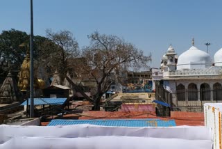 Gyanvapi Shringar Gauri case  Court commissioner survey to start of Varanasi Gyanvapi Masjid  Varanasi Gyanvapi Masjid news  Varanasi Gyanvapi Masjid update  ಜ್ಞಾನವಾಪಿ ಶೃಂಗಾರ ಗೌರಿ ಪ್ರಕರಣ  ವಾರಣಾಸಿಯ ಜ್ಞಾನವಾಪಿ ಮಸೀದಿಯ ವೀಡಿಯೋಗ್ರಾಫಿ ಸಮೀಕ್ಷೆ ಆರಂಭ  ವಾರಣಾಸಿ ಜ್ಞಾನವಾಪಿ ಮಸೀದಿ ಪ್ರಕರಣ  ವಾರಣಾಸಿ ಜ್ಞಾನವಾಪಿ ಮಸೀದಿ ಸುದ್ದಿ  ವಾರಣಾಸಿ ಜ್ಞಾನವಾಪಿ ಮಸೀದಿ ಪ್ರಕರಣ ಅಪ್​ಡೇಟ್​