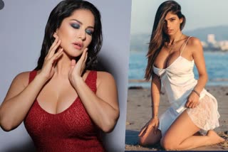 the porn stars who excelled in other professions  porn industry  Sasha Grey  Sunny Leone  Mary Carey  Sibel Kekilli  Mia Khalifa  porn stars who turn into actors of mainstream films  പോണ്‍ ഫിലിം താരങ്ങള്‍ മറ്റ് മേഖലകളില്‍ പ്രശസ്തരായവര്‍  സണ്ണിലിയോണ്‍ മിയഖലീഫ സാഷ ഗ്രേ മേരി കേയരി സിബല്‍ കിക്കെലി എന്നിവരുടെ പോണ്‍ ചരിത്രങ്ങള്‍  മിയാഖലീഫയ്‌ക്കെതിരെ ഐഎസ് പുറപ്പെടുവിച്ച ഭീഷണി