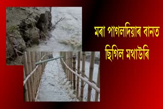 first-flood-of-monsoon-broke-embankment-at-makrapara-nalbari