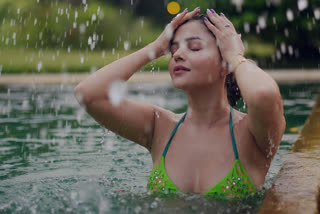 Rubina Dilaik bikini pictures