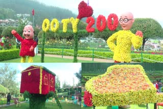 Ooty welcomes tourists with its unique Rose Show  Ooty Rose Show  Ooty flower show  ഊട്ടി റോസ് ഷോ  ഊട്ടി സമ്മർ ഫെസ്റ്റ്  Ooty Summer fest  സഞ്ചാരികളിൽ കൗതുകമുണർത്തി ഊട്ടി റോസ് ഷോ  Beautiful rose show at ooty  SUMMER ROSE SHOW STARTED IN UDHAGAMANDALAM