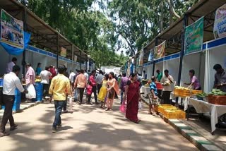 Preperation for mango fest in LalBagh