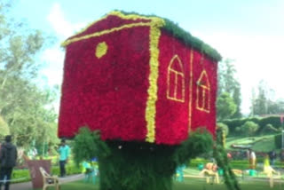 15-foot high tree-house made of roses, a big draw in Udhagamandalam