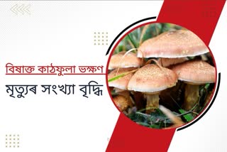 বিষাক্ত কাঠফুলা ভক্ষণ: এপ্ৰিললৈকে প্ৰাণ হেৰুৱালে বহুজনে