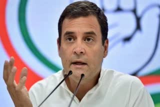 rahul to embark on padyatra  Congress foot march from kashmir to kanyakumari  rahul gandhi foot march  രാഹുല്‍ ഗാന്ധി പദയാത്ര  കശ്‌മീര്‍ മുതല്‍ കന്യാകുമാരി വരെ പദയാത്ര  കോണ്‍ഗ്രസ് രാജ്യവ്യാപകമായി പദയാത്ര  ചിന്തന്‍ ശിബിര്‍ പദയാത്ര ശിപാര്‍ശ  ചിന്തന്‍ ശിബിർ പദയാത്ര കരട് പ്രമേയം  chintan shivir latest news