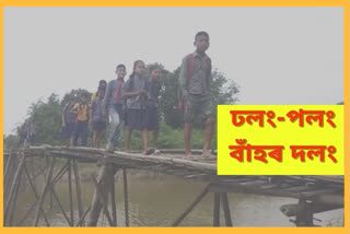 terrible-communication-with-bamboo-bridge