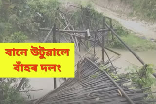 bamboo-bridge-blown-away-by-flood