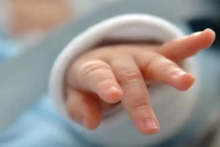 new born baby pronounced dead by doctors