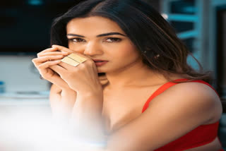 sonal chauhan birthday