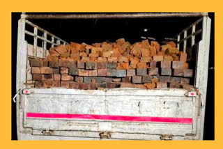 illegal valuable wood seized in kalgachia