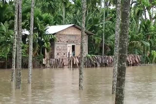 assam floods
