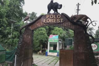 Sabarkantha Polo Forest : મીની કાશ્મીર ગણાતા પોળો ફોરેસ્ટમાં પ્રવાસીઓ સહિત સ્થાનિકોની મુશ્કેલીઓ ક્યારે થશે ઓછી ?