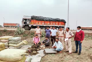 Inter state ganja smuggler arrested in Raipur