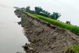 Agriculture Land Erosion at Moinbari in Barpeta