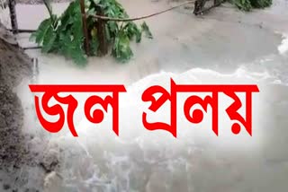 five death in Assam flood