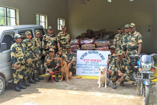 bsf-tripura-confiscated-intoxicants-and-cattle-and-other-items