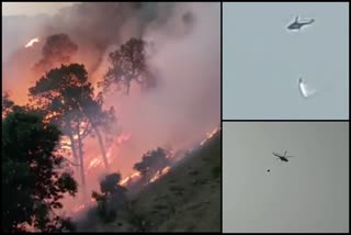 forest fire in solan