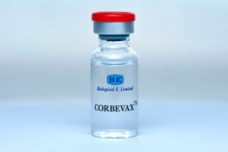 corbevax-price