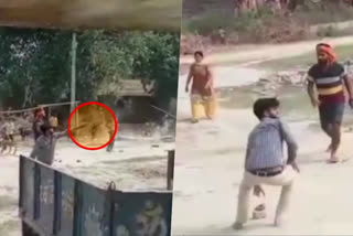 Video of incident in Gopalganj goes viral  two injured due to bullet injuries.