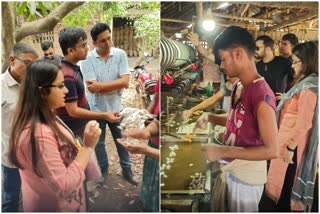 Silk Cultivation