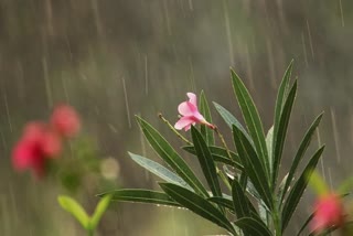 West Bengal Weather News