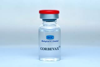 COVID-19 vaccine Corbevax