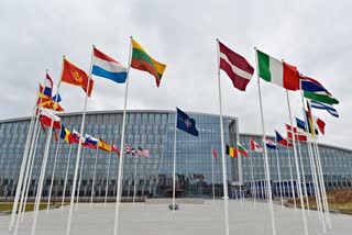 nato latest news