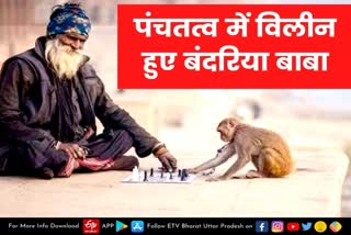 Varanasi  Facebook twitter wp Email affiliates Monkey Man of Varanasi  हरिश्चंद्र घाट महाश्मशान  Varanasi latest news  etv bharat up news  पुरोहित बलराम मिश्र  Bandaria Baba of Varanasi  Bandaria Baba of Varanasi is no more