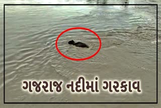 આસામમાં પૂરના ખપ્પરમાં: કપિલી નદીમાં હાથી ડૂબવાનો ભયાનક વીડિયો