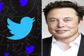 Elon Musk twitter deal  Bots in Twitter  Elon Musk latest news  twitter stock price  എലോണ്‍ മസ്‌കിന്‍റെ ട്വിറ്റര്‍ കരാര്‍  ട്വിറ്റര്‍ ബോട്ട്‌സില്‍ എലോണ്‍ മസ്‌കിന്‍റെ പ്രതികരണം  ട്വിറ്ററിന്‍റെ ഓഹരി